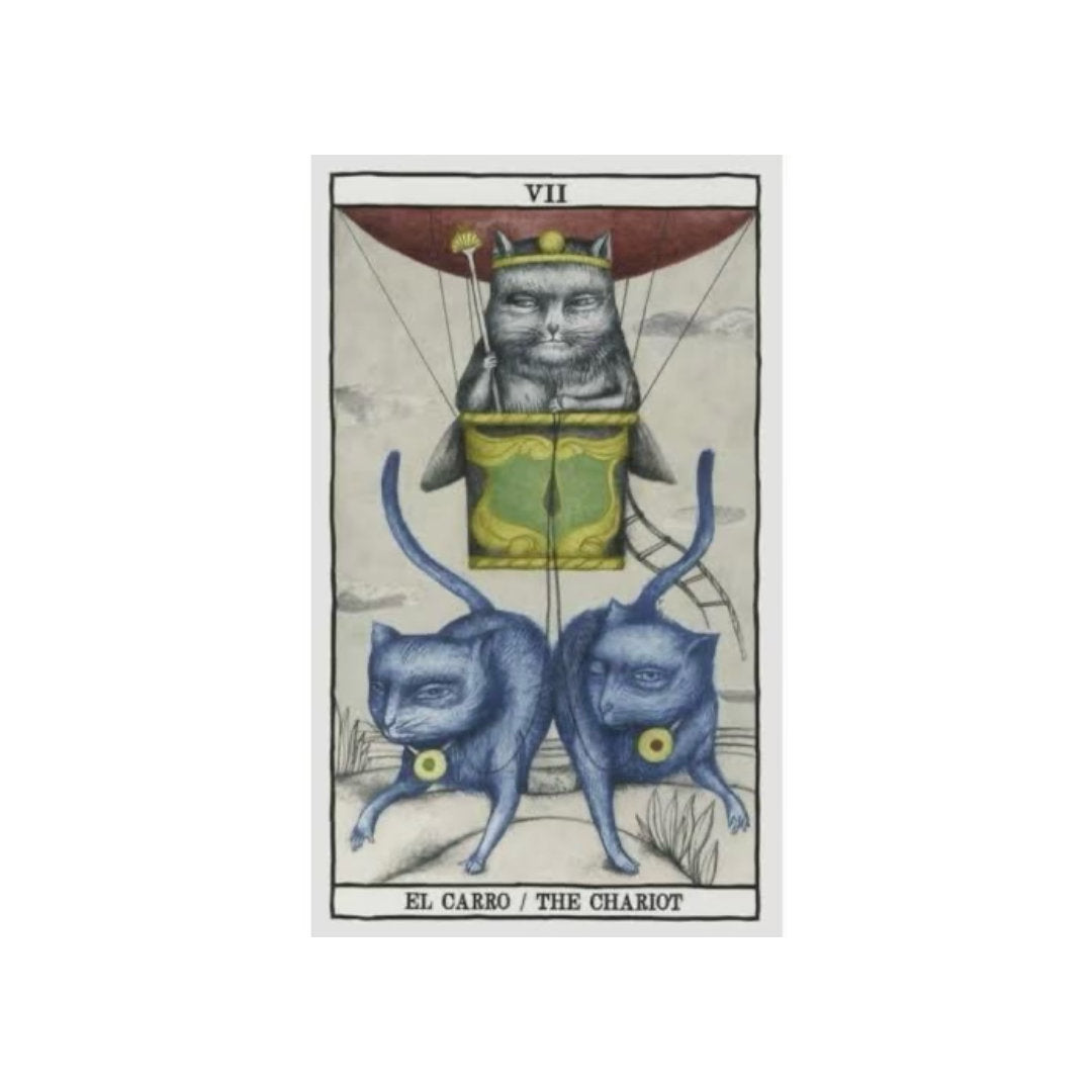 Tarot Cats Ana Juan