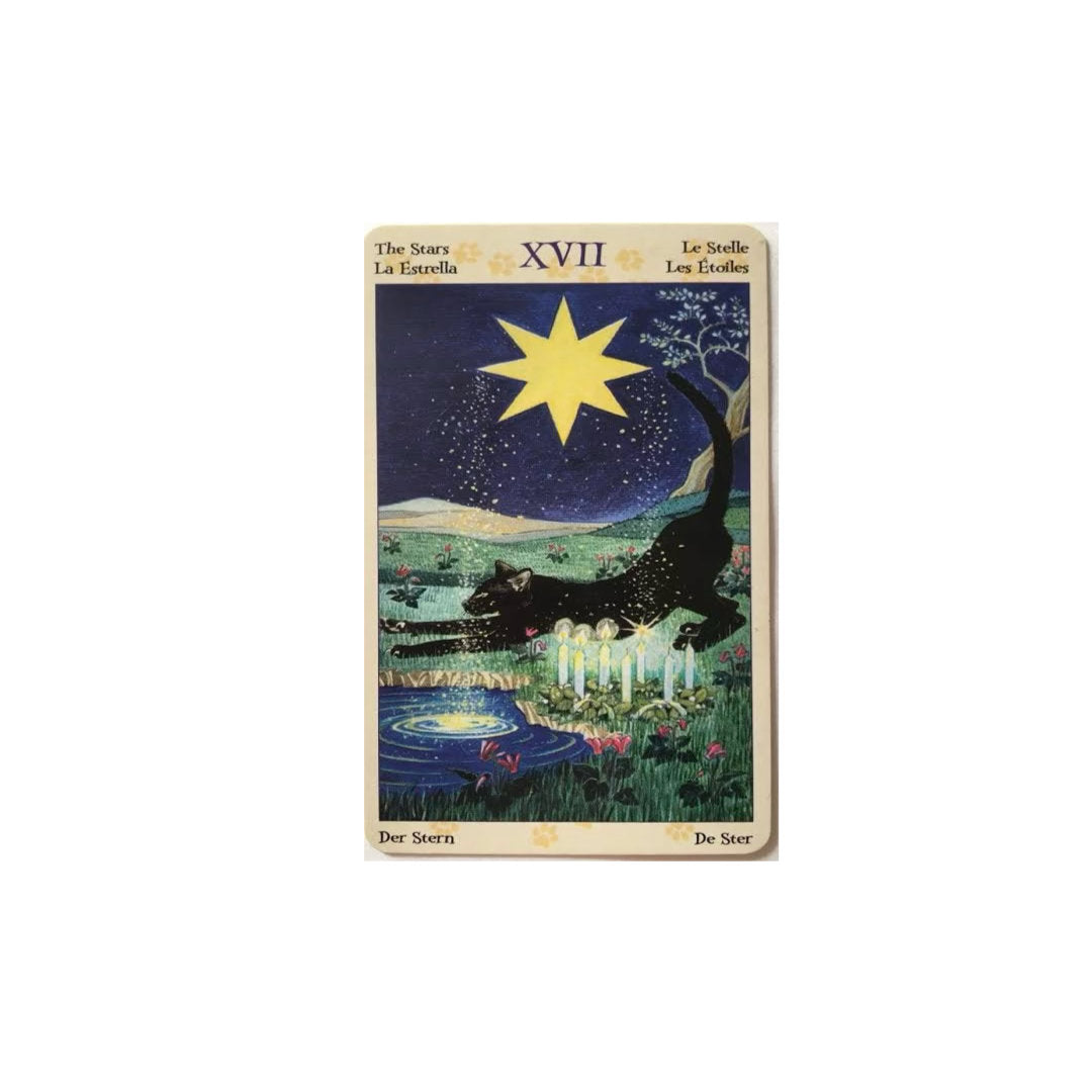 Tarot de los Gatos paganos