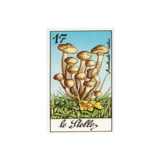 22 Arcani I Funghi