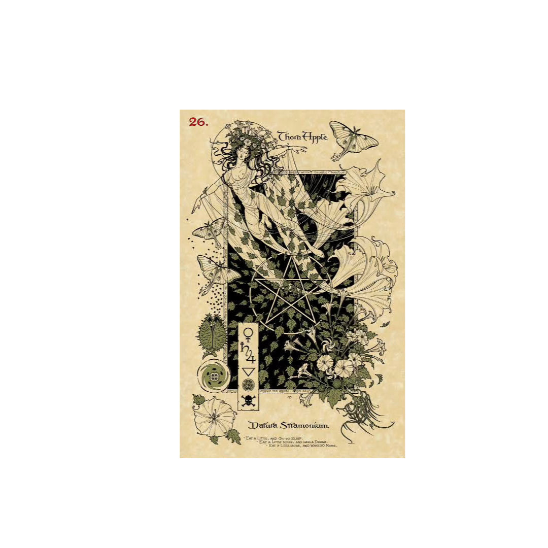 The Magickal botanical Oracle