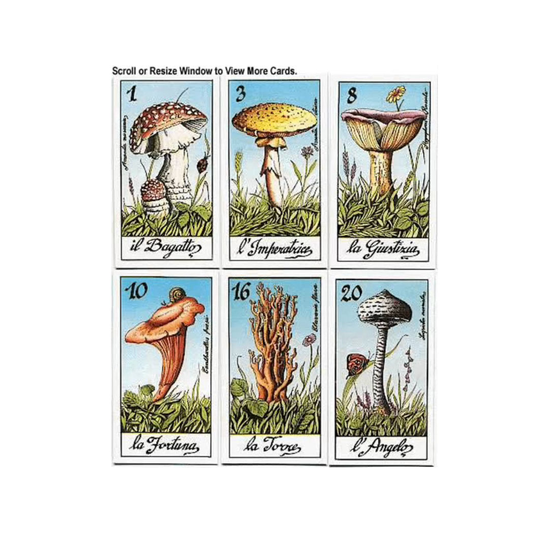 22 Arcani I Funghi