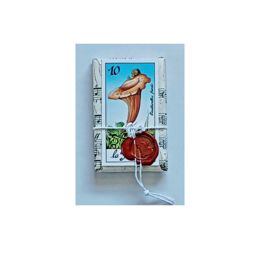 22 Arcani I Funghi